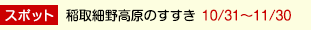 稲取細野高原のすすき